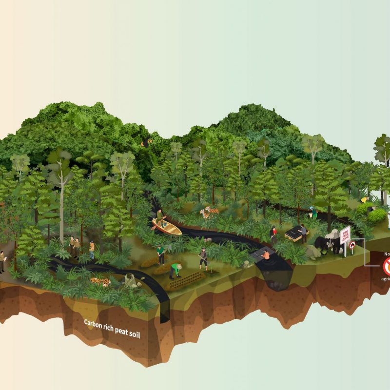conservation-indonesia