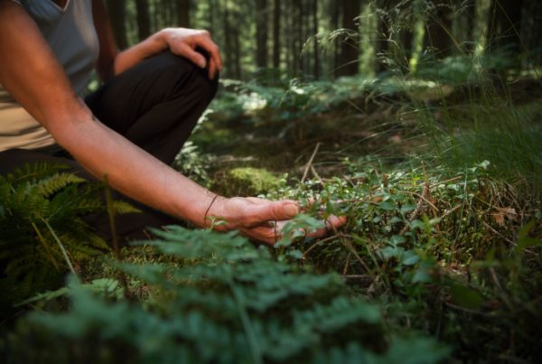apr viscose is biodegradable