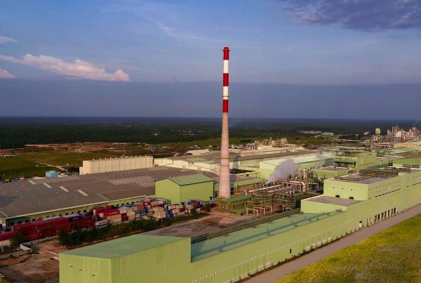 asia pacific rayon ramp up viscose fibre