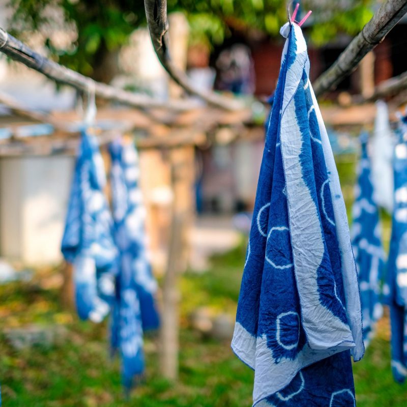 viscose is the future of the fashion industry